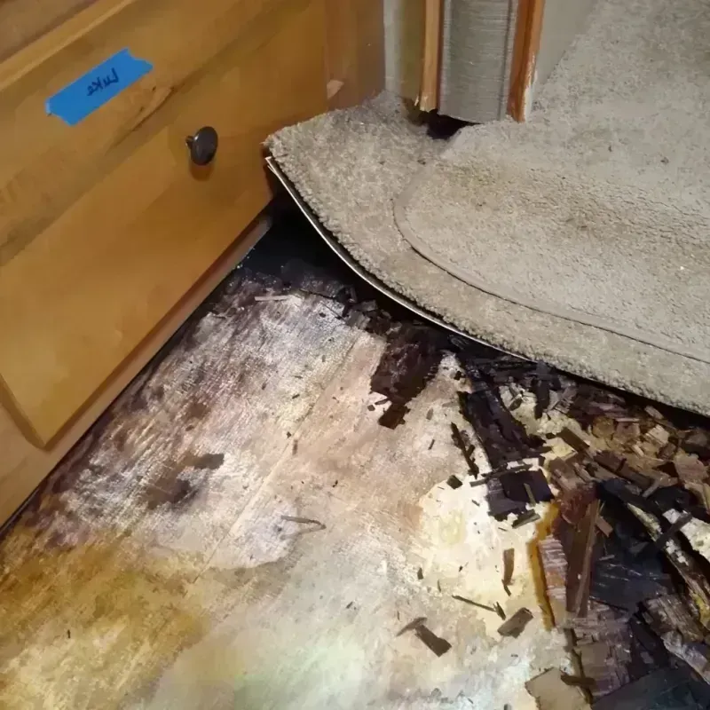 Best Wood Floor Water Damage Service in Brooklet, GA